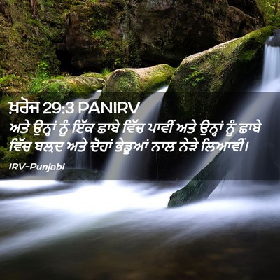 Picture 02 - ਖ਼ਰੋਜ 29:3 PANIRV - ਅਤੇ ਉਨ੍ਹਾਂ ਨੂੰ ਇੱਕ - Bible Verse Picture