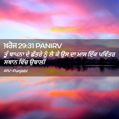 Picture 02 - ਖ਼ਰੋਜ 29:31 PANIRV - ਤੂੰ ਥਾਪਨਾ ਦੇ ਛੱਤਰੇ - Bible Verse Picture