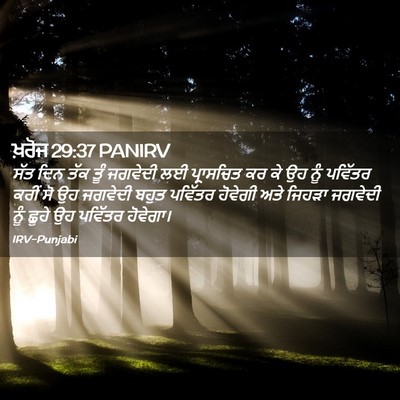 Picture 02 - ਖ਼ਰੋਜ 29:37 PANIRV - ਸੱਤ ਦਿਨ ਤੱਕ ਤੂੰ - Bible Verse Picture