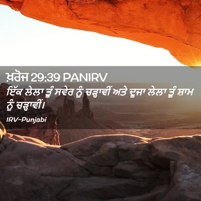 Picture 02 - ਖ਼ਰੋਜ 29:39 PANIRV - ਇੱਕ ਲੇਲਾ ਤੂੰ ਸਵੇਰ - Bible Verse Picture