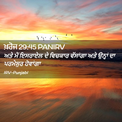 Picture 02 - ਖ਼ਰੋਜ 29:45 PANIRV - ਅਤੇ ਮੈਂ ਇਸਰਾਏਲ ਦੇ - Bible Verse Picture