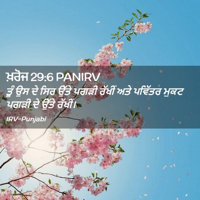 Picture 02 - ਖ਼ਰੋਜ 29:6 PANIRV - ਤੂੰ ਉਸ ਦੇ ਸਿਰ ਉੱਤੇ - Bible Verse Picture