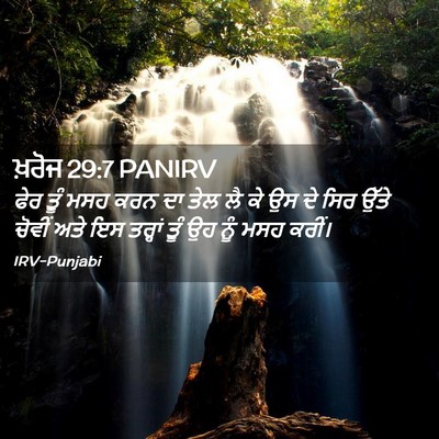 Picture 02 - ਖ਼ਰੋਜ 29:7 PANIRV - ਫੇਰ ਤੂੰ ਮਸਹ ਕਰਨ ਦਾ - Bible Verse Picture