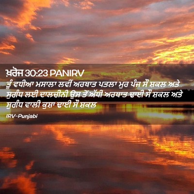 Picture 02 - ਖ਼ਰੋਜ 30:23 PANIRV - ਤੂੰ ਵਧੀਆ ਮਸਾਲਾ - Bible Verse Picture