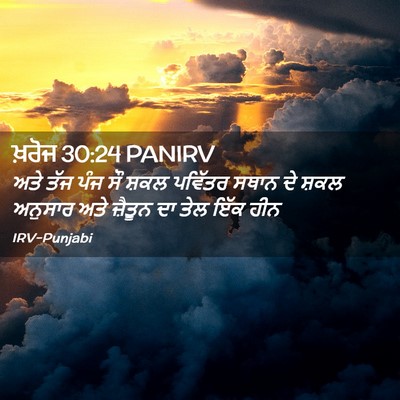 Picture 02 - ਖ਼ਰੋਜ 30:24 PANIRV - ਅਤੇ ਤੱਜ ਪੰਜ ਸੌ ਸ਼ਕਲ - Bible Verse Picture