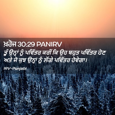 Picture 02 - ਖ਼ਰੋਜ 30:29 PANIRV - ਤੂੰ ਉਨ੍ਹਾਂ ਨੂੰ - Bible Verse Picture