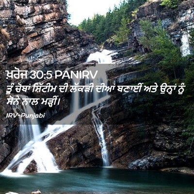 Picture 02 - ਖ਼ਰੋਜ 30:5 PANIRV - ਤੂੰ ਚੋਬਾਂ ਸ਼ਿੱਟੀਮ - Bible Verse Picture