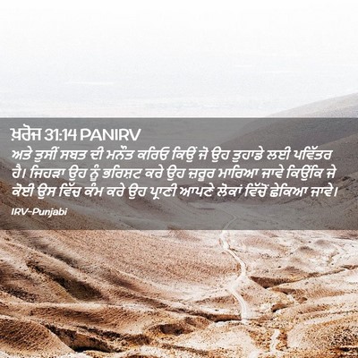 Picture 02 - ਖ਼ਰੋਜ 31:14 PANIRV - ਅਤੇ ਤੁਸੀਂ ਸਬਤ ਦੀ - Bible Verse Picture