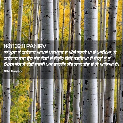 Picture 02 - ਖ਼ਰੋਜ 32:11 PANIRV - ਤਾਂ ਮੂਸਾ ਨੇ ਯਹੋਵਾਹ - Bible Verse Picture