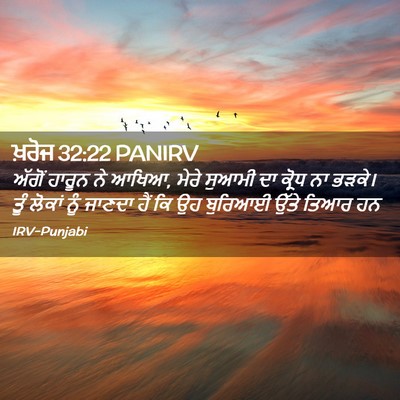 Picture 02 - ਖ਼ਰੋਜ 32:22 PANIRV - ਅੱਗੋਂ ਹਾਰੂਨ ਨੇ - Bible Verse Picture