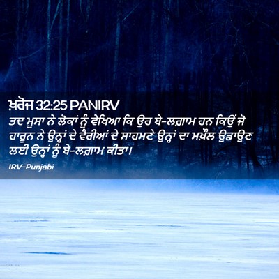 Picture 02 - ਖ਼ਰੋਜ 32:25 PANIRV - ਤਦ ਮੂਸਾ ਨੇ ਲੋਕਾਂ - Bible Verse Picture