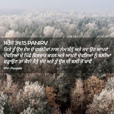 Picture 02 - ਖ਼ਰੋਜ 34:15 PANIRV - ਕਿਤੇ ਤੂੰ ਉਸ ਦੇਸ਼ ਦੇ - Bible Verse Picture
