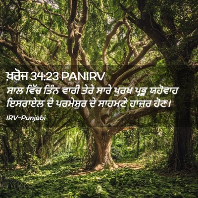 Picture 02 - ਖ਼ਰੋਜ 34:23 PANIRV - ਸਾਲ ਵਿੱਚ ਤਿੰਨ ਵਾਰੀ - Bible Verse Picture