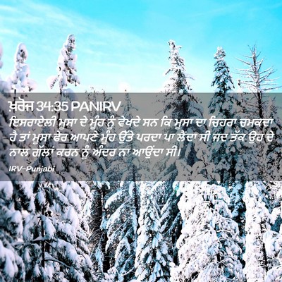 Picture 02 - ਖ਼ਰੋਜ 34:35 PANIRV - ਇਸਰਾਏਲੀ ਮੂਸਾ ਦੇ - Bible Verse Picture