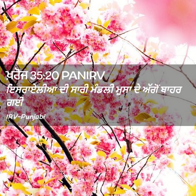 Picture 02 - ਖ਼ਰੋਜ 35:20 PANIRV - ਇਸਰਾਏਲੀਆਂ ਦੀ ਸਾਰੀ - Bible Verse Picture
