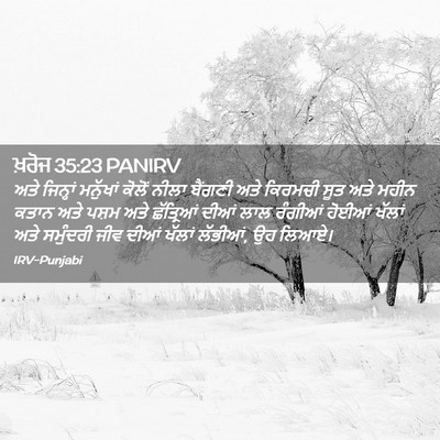 Picture 02 - ਖ਼ਰੋਜ 35:23 PANIRV - ਅਤੇ ਜਿਨ੍ਹਾਂ - Bible Verse Picture
