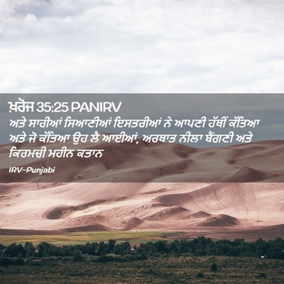 Picture 02 - ਖ਼ਰੋਜ 35:25 PANIRV - ਅਤੇ ਸਾਰੀਆਂ - Bible Verse Picture