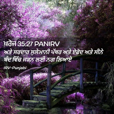 Picture 02 - ਖ਼ਰੋਜ 35:27 PANIRV - ਅਤੇ ਸਰਦਾਰ - Bible Verse Picture
