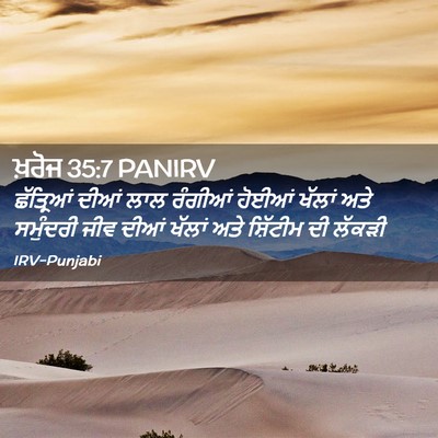Picture 02 - ਖ਼ਰੋਜ 35:7 PANIRV - ਛੱਤ੍ਰਿਆਂ ਦੀਆਂ ਲਾਲ - Bible Verse Picture