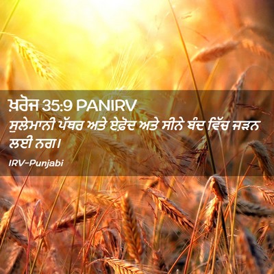 Picture 02 - ਖ਼ਰੋਜ 35:9 PANIRV - ਸੁਲੇਮਾਨੀ ਪੱਥਰ ਅਤੇ - Bible Verse Picture
