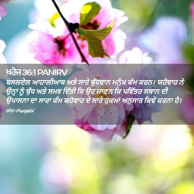 Picture 02 - ਖ਼ਰੋਜ 36:1 PANIRV - ਬਸਲਏਲ ਆਹਾਲੀਆਬ ਅਤੇ - Bible Verse Picture