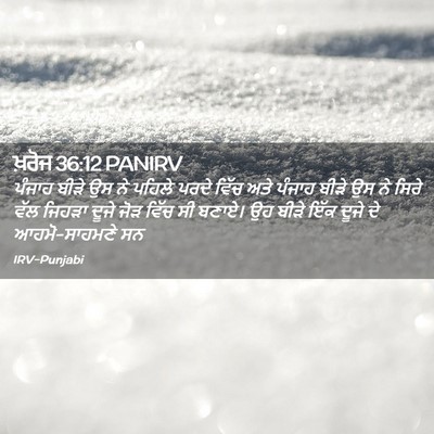 Picture 02 - ਖ਼ਰੋਜ 36:12 PANIRV - ਪੰਜਾਹ ਬੀੜੇ ਉਸ ਨੇ - Bible Verse Picture