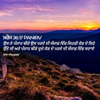 Picture 02 - ਖ਼ਰੋਜ 36:17 PANIRV - ਉਸ ਨੇ ਪੰਜਾਹ ਬੀੜੇ ਉਸ - Bible Verse Picture