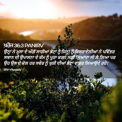 Picture 02 - ਖ਼ਰੋਜ 36:3 PANIRV - ਉਨ੍ਹਾਂ ਨੇ ਮੂਸਾ ਦੇ - Bible Verse Picture