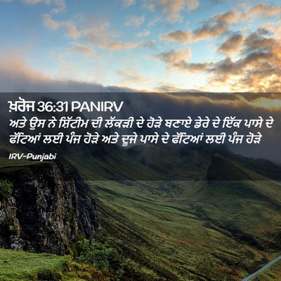 Picture 02 - ਖ਼ਰੋਜ 36:31 PANIRV - ਅਤੇ ਉਸ ਨੇ ਸ਼ਿੱਟੀਮ - Bible Verse Picture