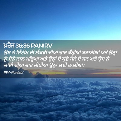 Picture 02 - ਖ਼ਰੋਜ 36:36 PANIRV - ਉਸ ਨੇ ਸ਼ਿੱਟੀਮ ਦੀ - Bible Verse Picture