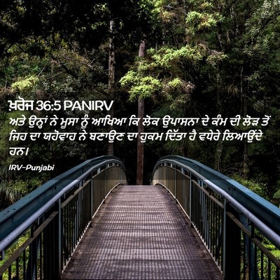 Picture 02 - ਖ਼ਰੋਜ 36:5 PANIRV - ਅਤੇ ਉਨ੍ਹਾਂ ਨੇ ਮੂਸਾ - Bible Verse Picture