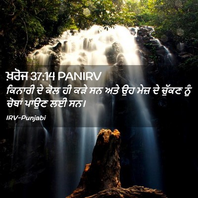 Picture 02 - ਖ਼ਰੋਜ 37:14 PANIRV - ਕਿਨਾਰੀ ਦੇ ਕੋਲ ਹੀ - Bible Verse Picture