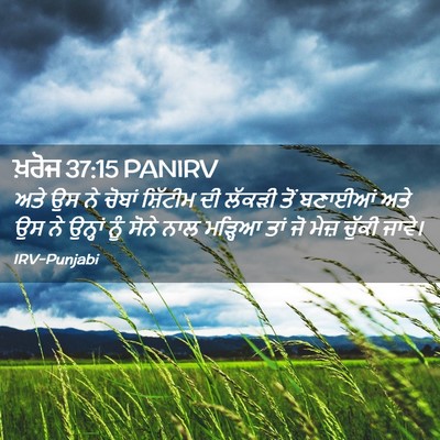 Picture 02 - ਖ਼ਰੋਜ 37:15 PANIRV - ਅਤੇ ਉਸ ਨੇ ਚੋਬਾਂ - Bible Verse Picture