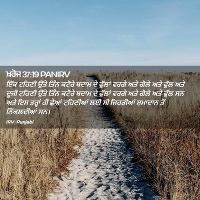 Picture 02 - ਖ਼ਰੋਜ 37:19 PANIRV - ਇੱਕ ਟਹਿਣੀ ਉੱਤੇ - Bible Verse Picture