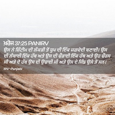 Picture 02 - ਖ਼ਰੋਜ 37:25 PANIRV - ਉਸ ਨੇ ਸ਼ਿੱਟੀਮ ਦੀ - Bible Verse Picture