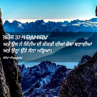 Picture 02 - ਖ਼ਰੋਜ 37:4 PANIRV - ਅਤੇ ਉਸ ਨੇ ਸ਼ਿੱਟੀਮ - Bible Verse Picture