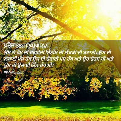 Picture 02 - ਖ਼ਰੋਜ 38:1 PANIRV - ਉਸ ਨੇ ਹੋਮ ਦੀ ਜਗਵੇਦੀ - Bible Verse Picture