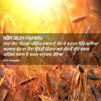 Picture 02 - ਖ਼ਰੋਜ 38:24 PANIRV - ਸਾਰਾ ਸੋਨਾ ਜਿਹੜਾ - Bible Verse Picture