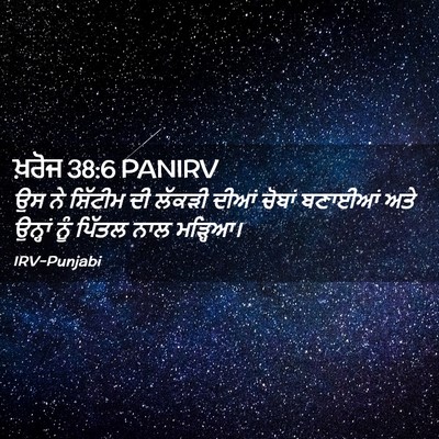 Picture 02 - ਖ਼ਰੋਜ 38:6 PANIRV - ਉਸ ਨੇ ਸ਼ਿੱਟੀਮ ਦੀ - Bible Verse Picture