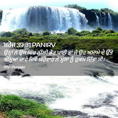 Picture 02 - ਖ਼ਰੋਜ 39:31 PANIRV - ਉਨ੍ਹਾਂ ਨੇ ਉਸ ਵਿੱਚ - Bible Verse Picture