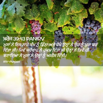 Picture 02 - ਖ਼ਰੋਜ 39:43 PANIRV - ਮੂਸਾ ਨੇ ਇਸ ਸਾਰੇ ਕੰਮ - Bible Verse Picture