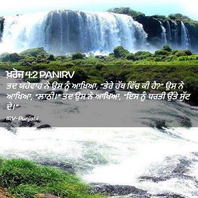 Picture 02 - ਖ਼ਰੋਜ 4:2 PANIRV - ਤਦ ਯਹੋਵਾਹ ਨੇ ਉਸ ਨੂੰ - Bible Verse Picture