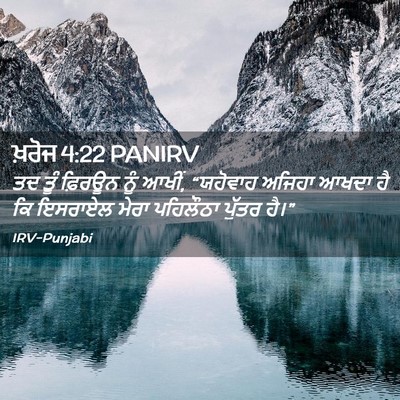 Picture 02 - ਖ਼ਰੋਜ 4:22 PANIRV - ਤਦ ਤੂੰ ਫ਼ਿਰਊਨ ਨੂੰ - Bible Verse Picture