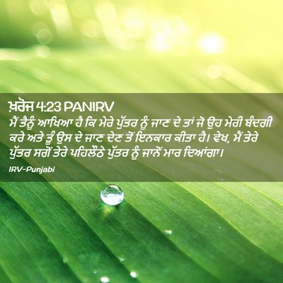 Picture 02 - ਖ਼ਰੋਜ 4:23 PANIRV - ਮੈਂ ਤੈਨੂੰ ਆਖਿਆ ਹੈ - Bible Verse Picture