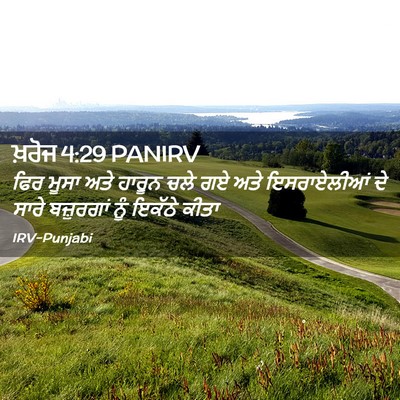 Picture 02 - ਖ਼ਰੋਜ 4:29 PANIRV - ਫਿਰ ਮੂਸਾ ਅਤੇ ਹਾਰੂਨ - Bible Verse Picture