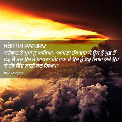 Picture 02 - ਖ਼ਰੋਜ 4:4 PANIRV - ਯਹੋਵਾਹ ਨੇ ਮੂਸਾ ਨੂੰ - Bible Verse Picture