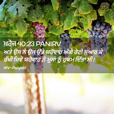 Picture 02 - ਖ਼ਰੋਜ 40:23 PANIRV - ਅਤੇ ਉਸ ਨੇ ਉਸ ਉੱਤੇ - Bible Verse Picture