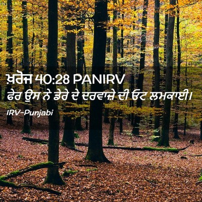 Picture 02 - ਖ਼ਰੋਜ 40:28 PANIRV - ਫੇਰ ਉਸ ਨੇ ਡੇਰੇ ਦੇ - Bible Verse Picture