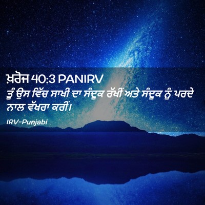 Picture 02 - ਖ਼ਰੋਜ 40:3 PANIRV - ਤੂੰ ਉਸ ਵਿੱਚ ਸਾਖੀ ਦਾ - Bible Verse Picture