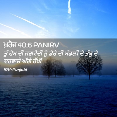 Picture 02 - ਖ਼ਰੋਜ 40:6 PANIRV - ਤੂੰ ਹੋਮ ਦੀ ਜਗਵੇਦੀ - Bible Verse Picture